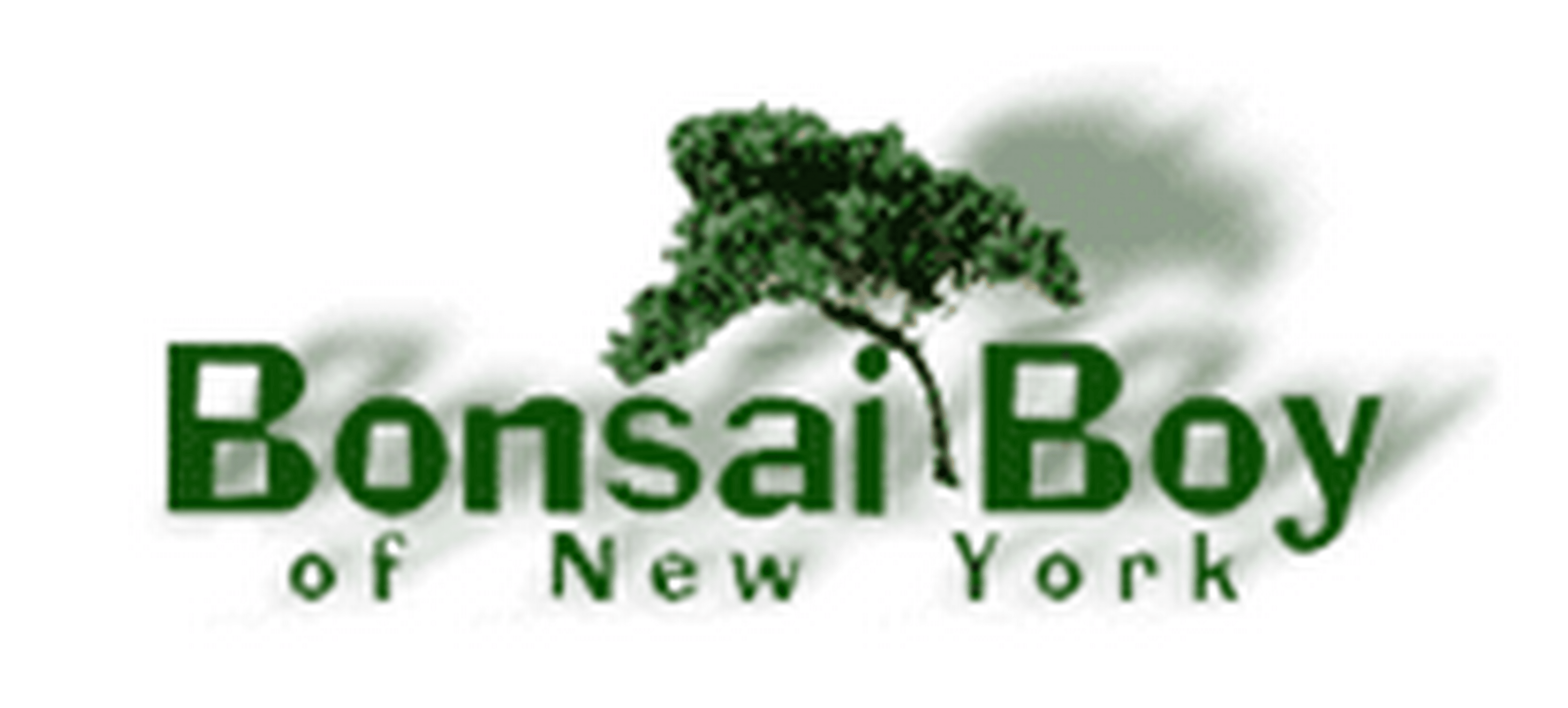 Bonsai Boy of New YorkCode