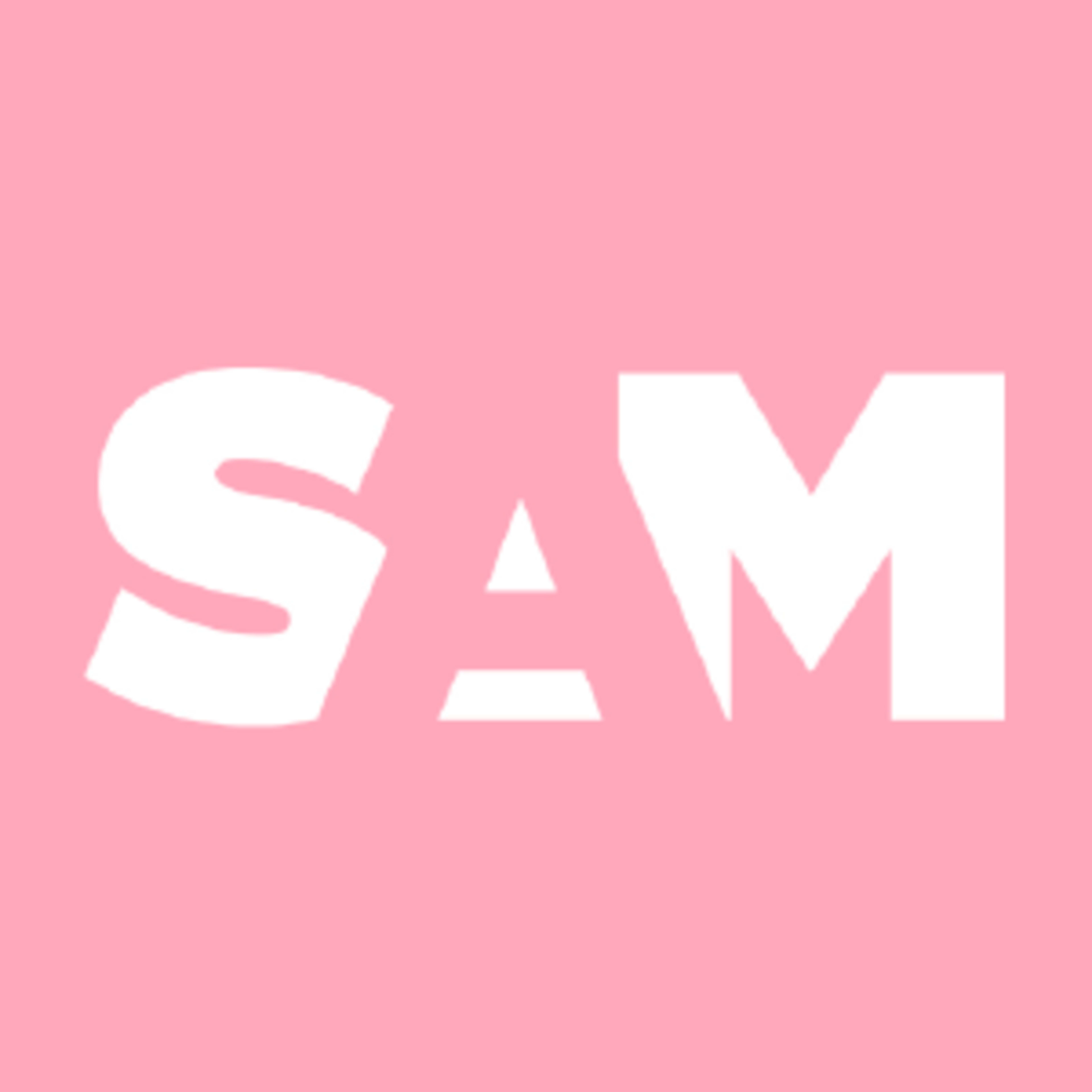 Seattle Art Museum Code