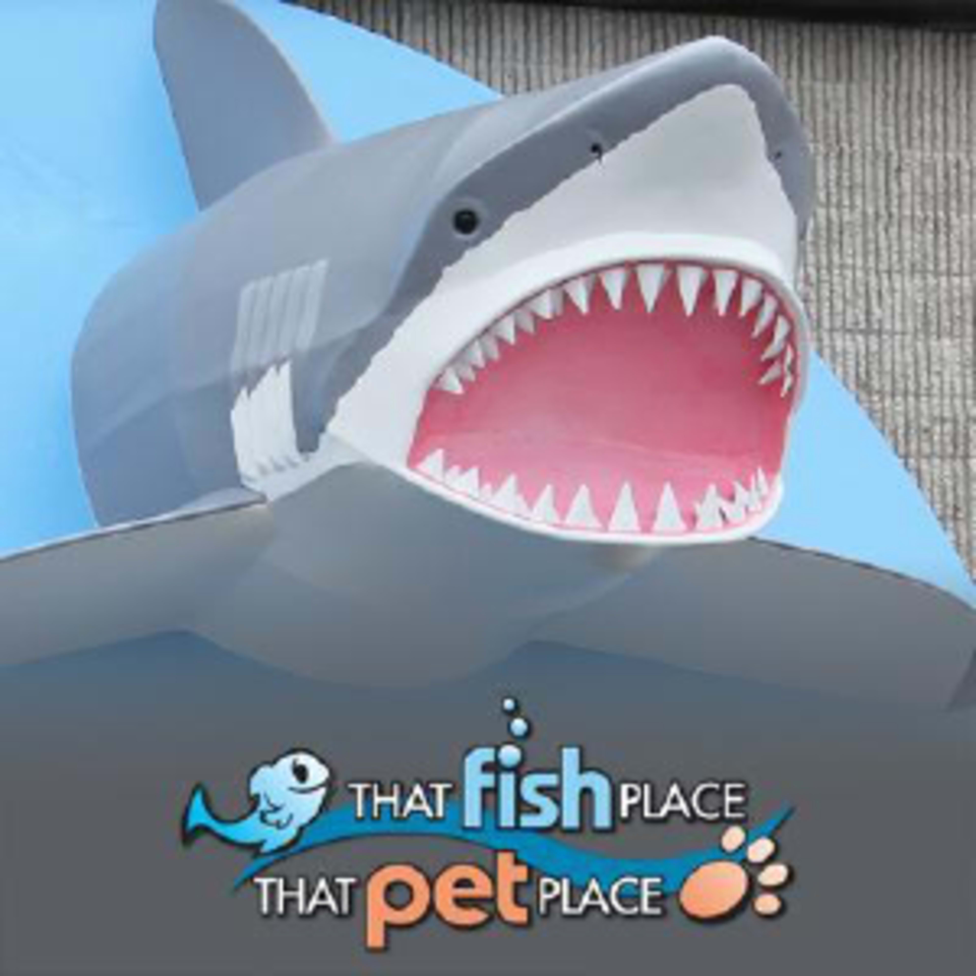 That Fish Place - That Pet PlaceCode