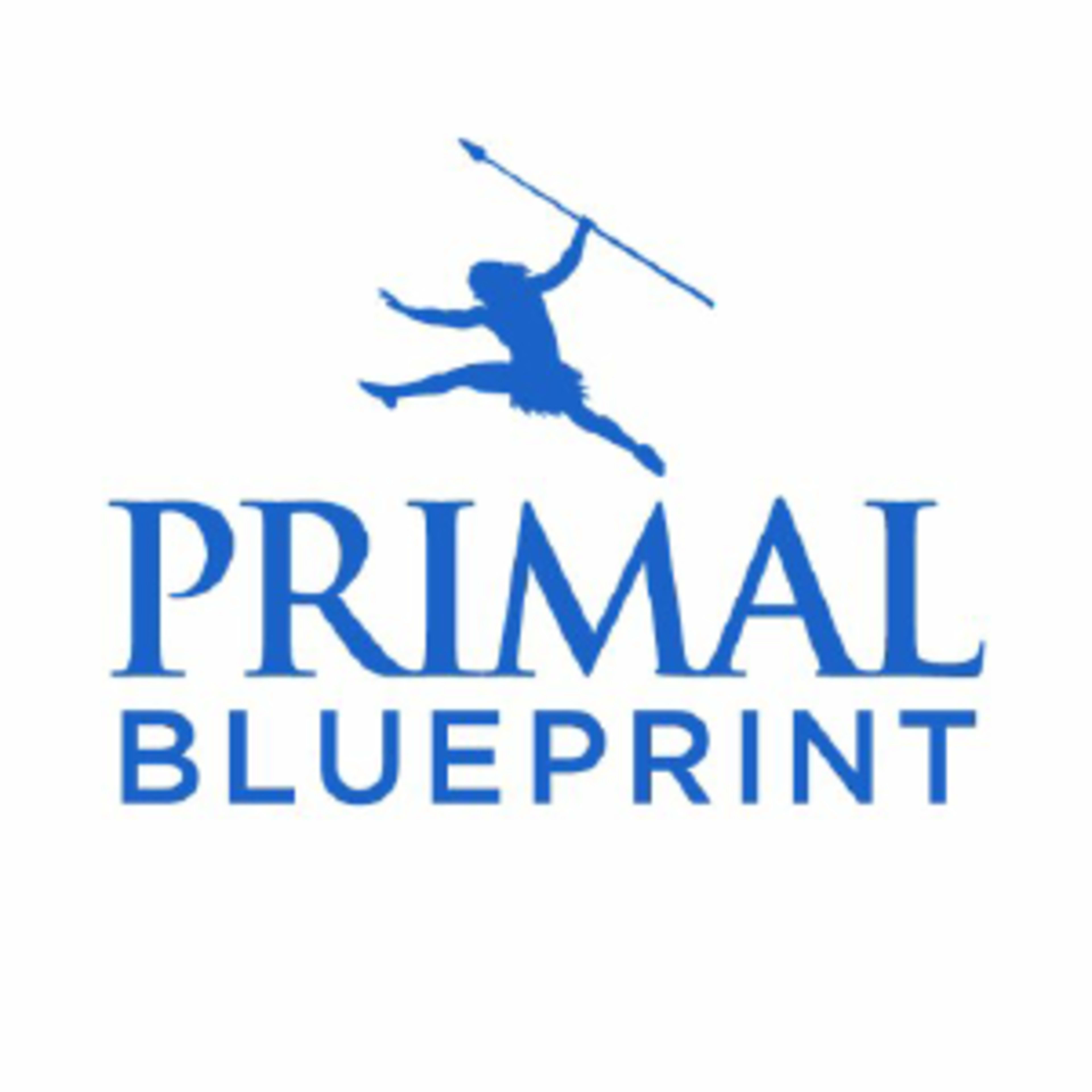 Primal BlueprintCode