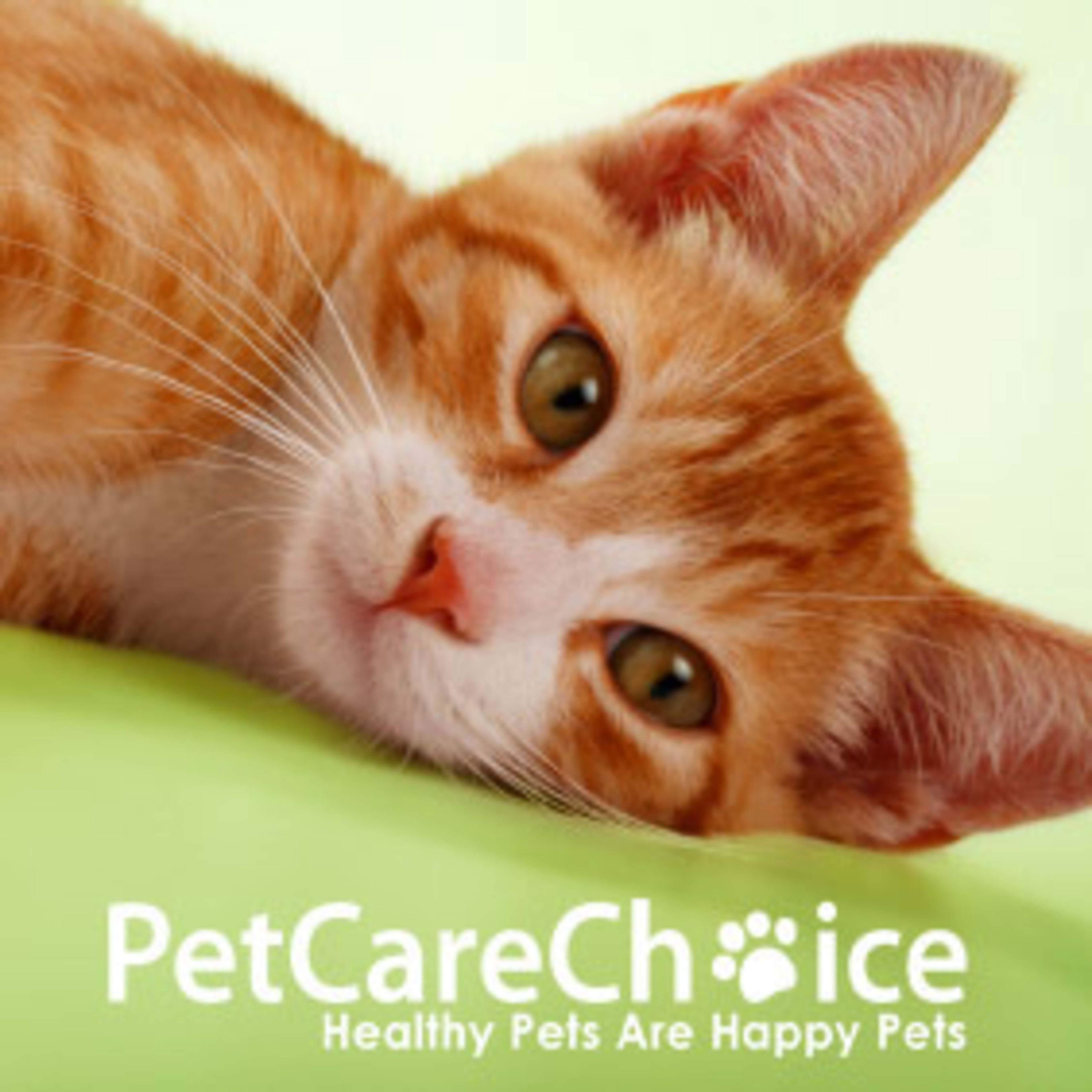 Pet Care Choice Code
