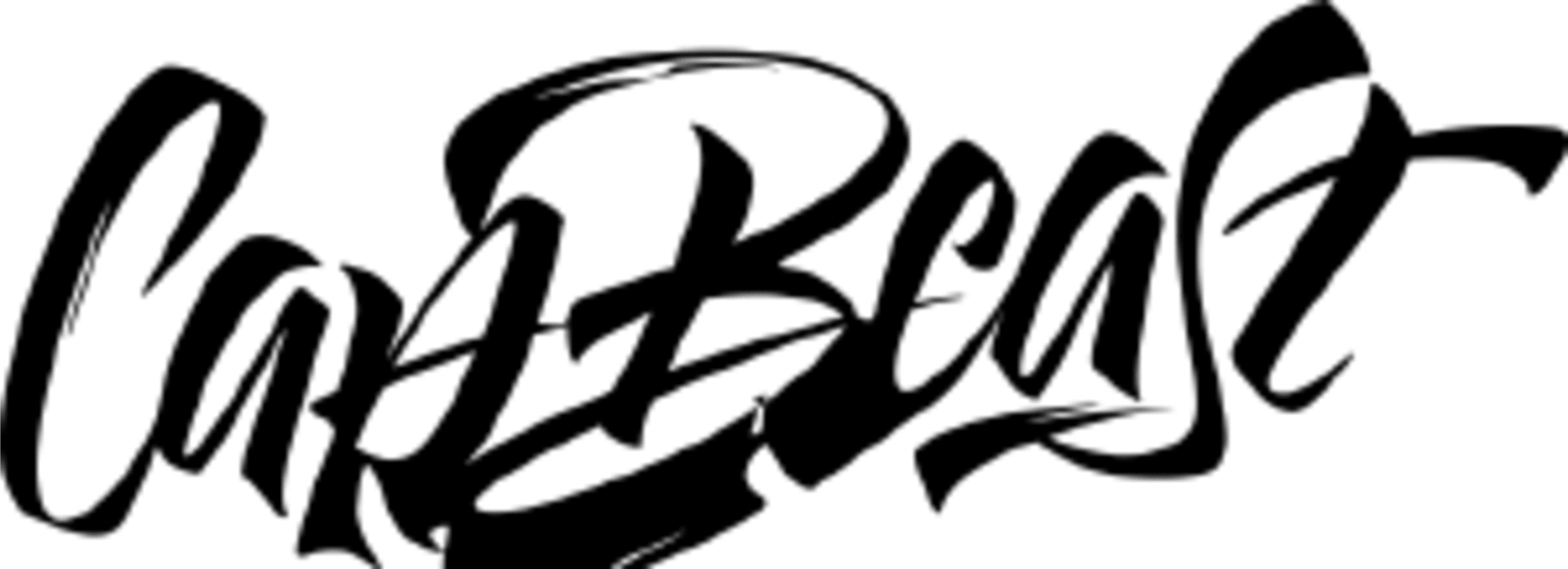 CapBeast CapBeast Code