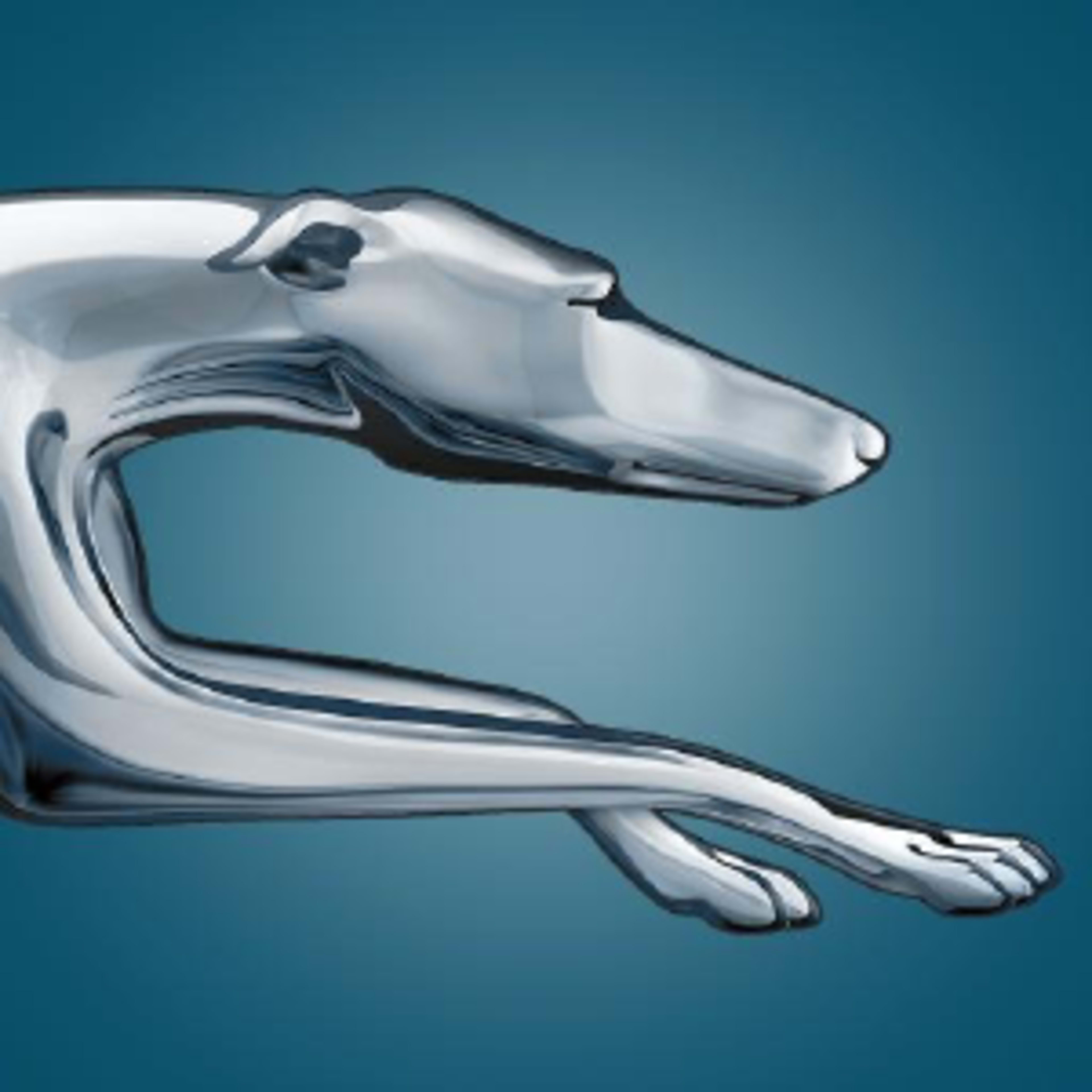 Greyhound Greyhound Code