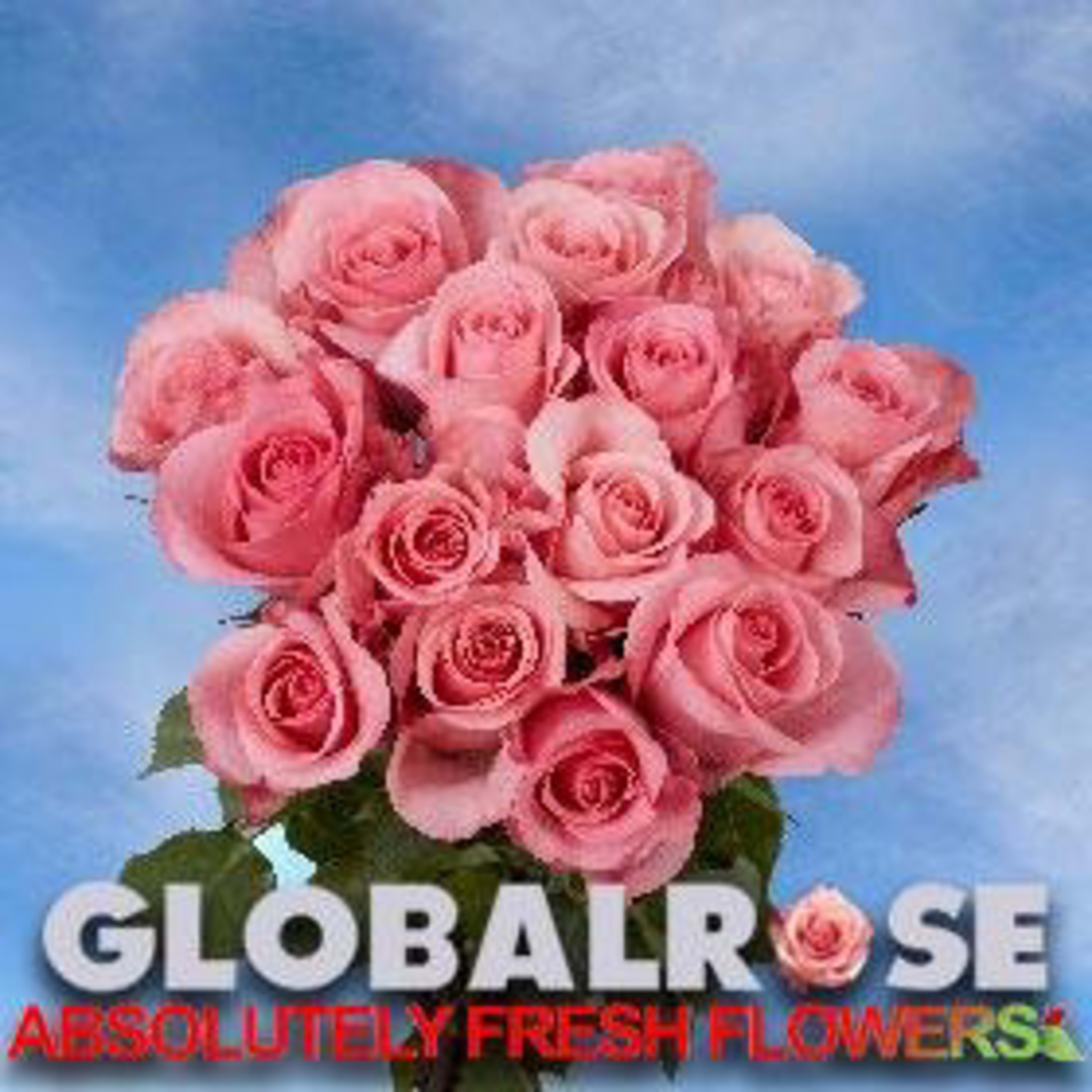 Globalrose