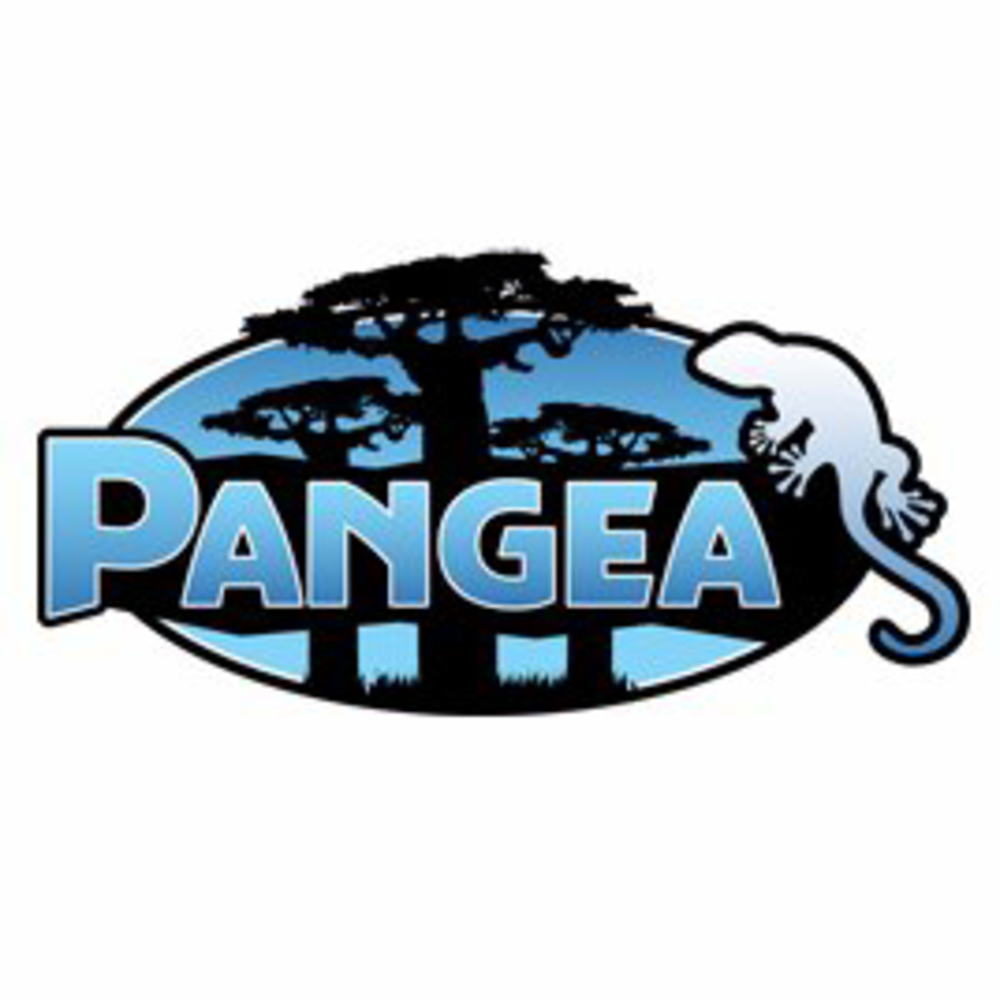 Pangea Reptile Pangea Reptile Code