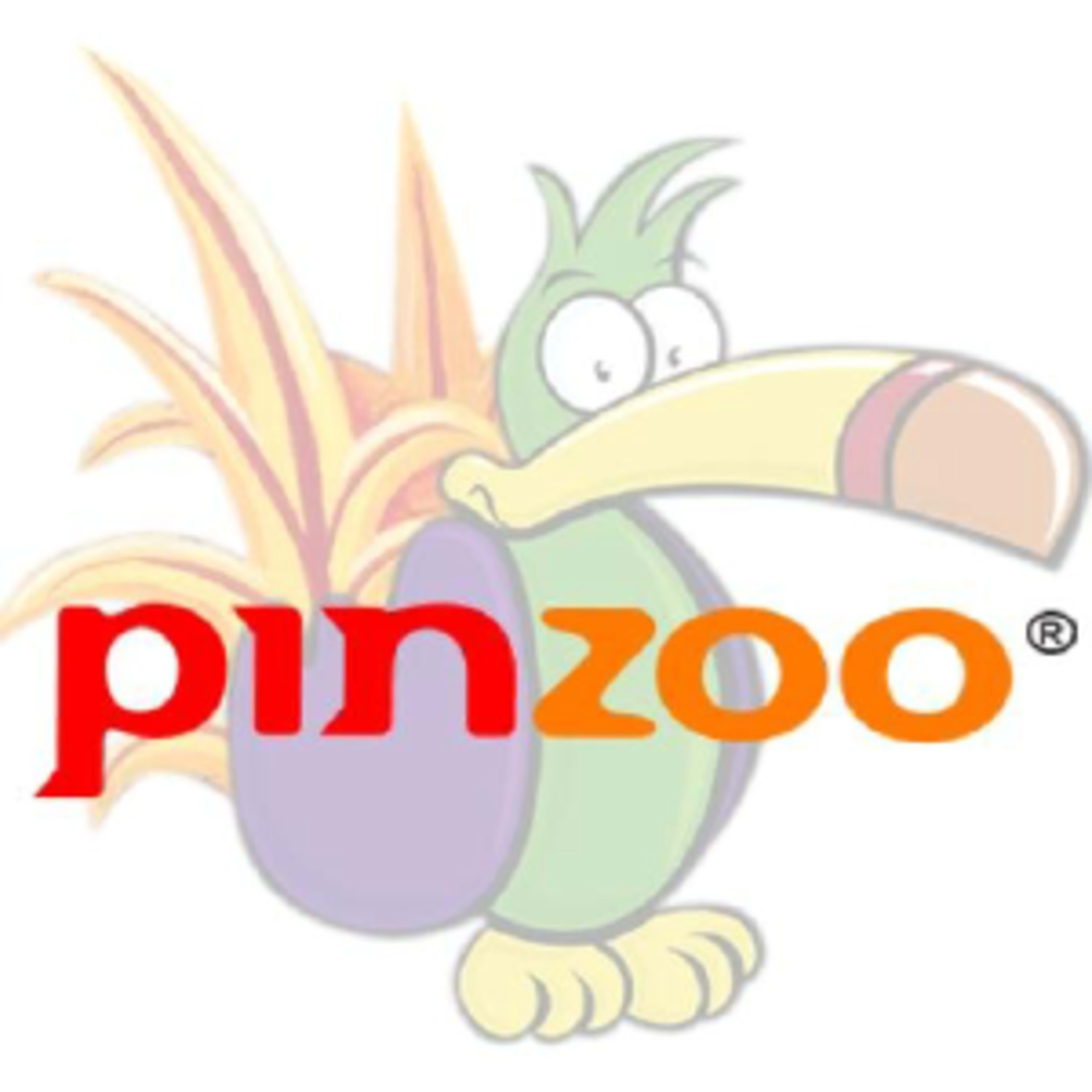 PinzooCode