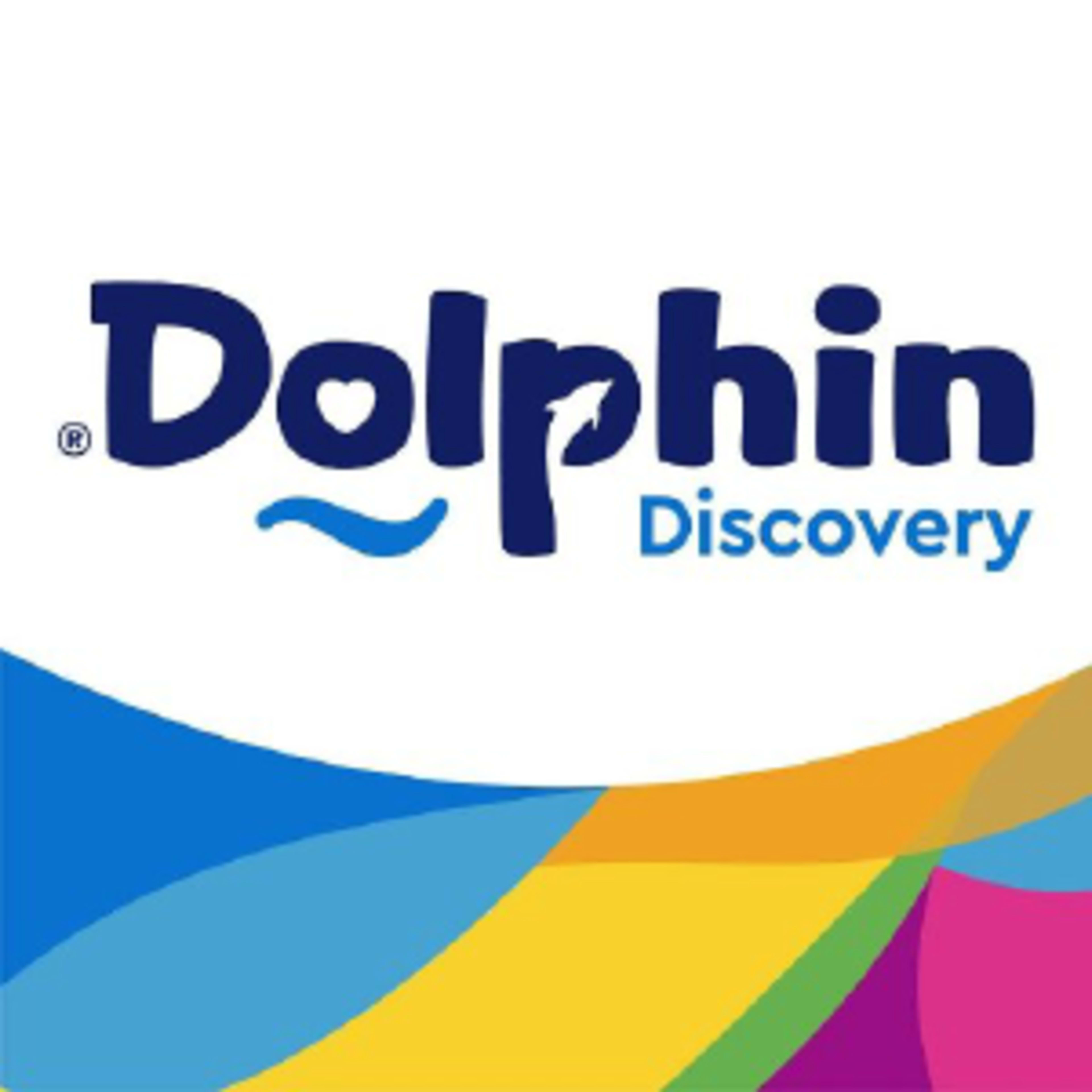 Dolphin Discovery Code