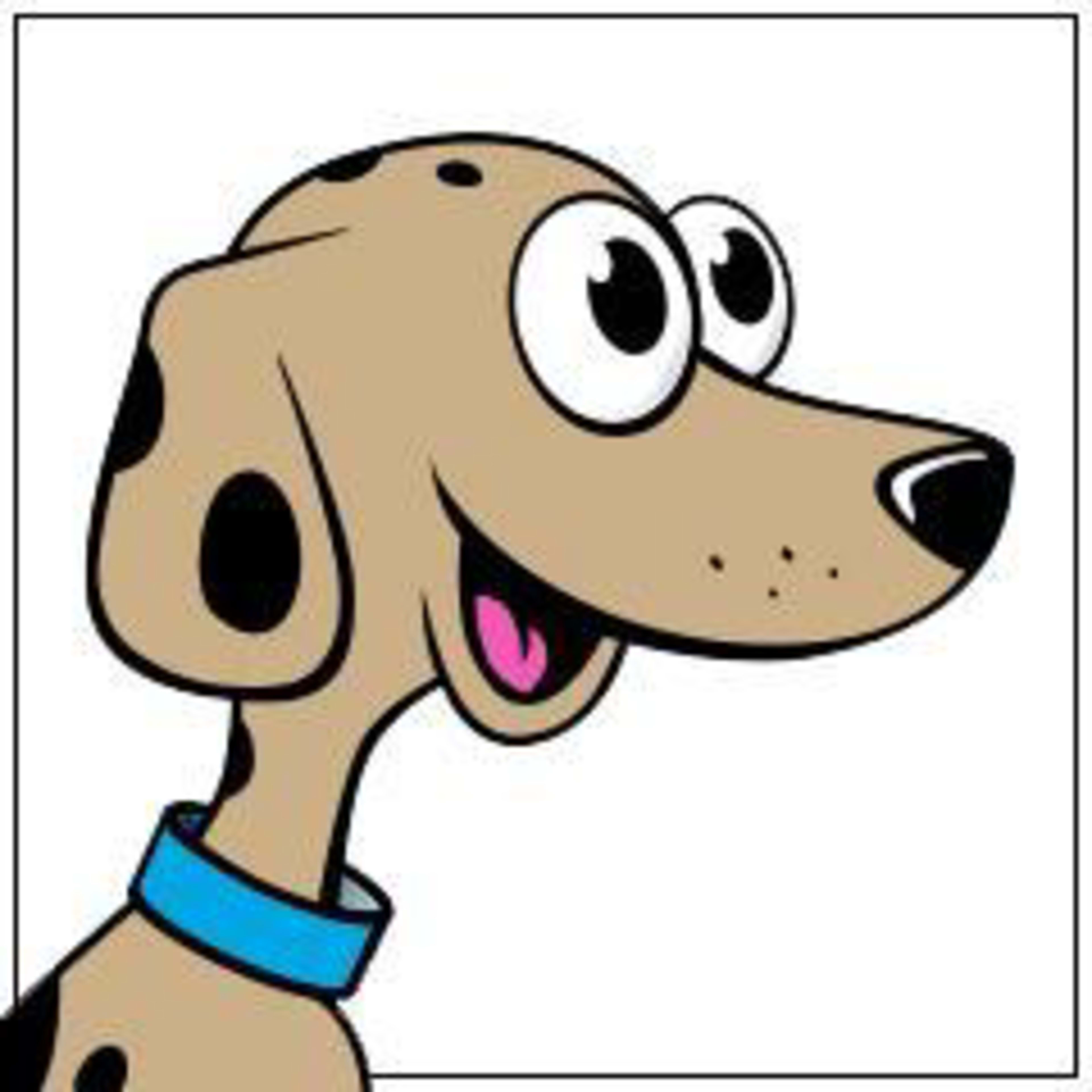 Hot Dog Collars Hot Dog Collars Code