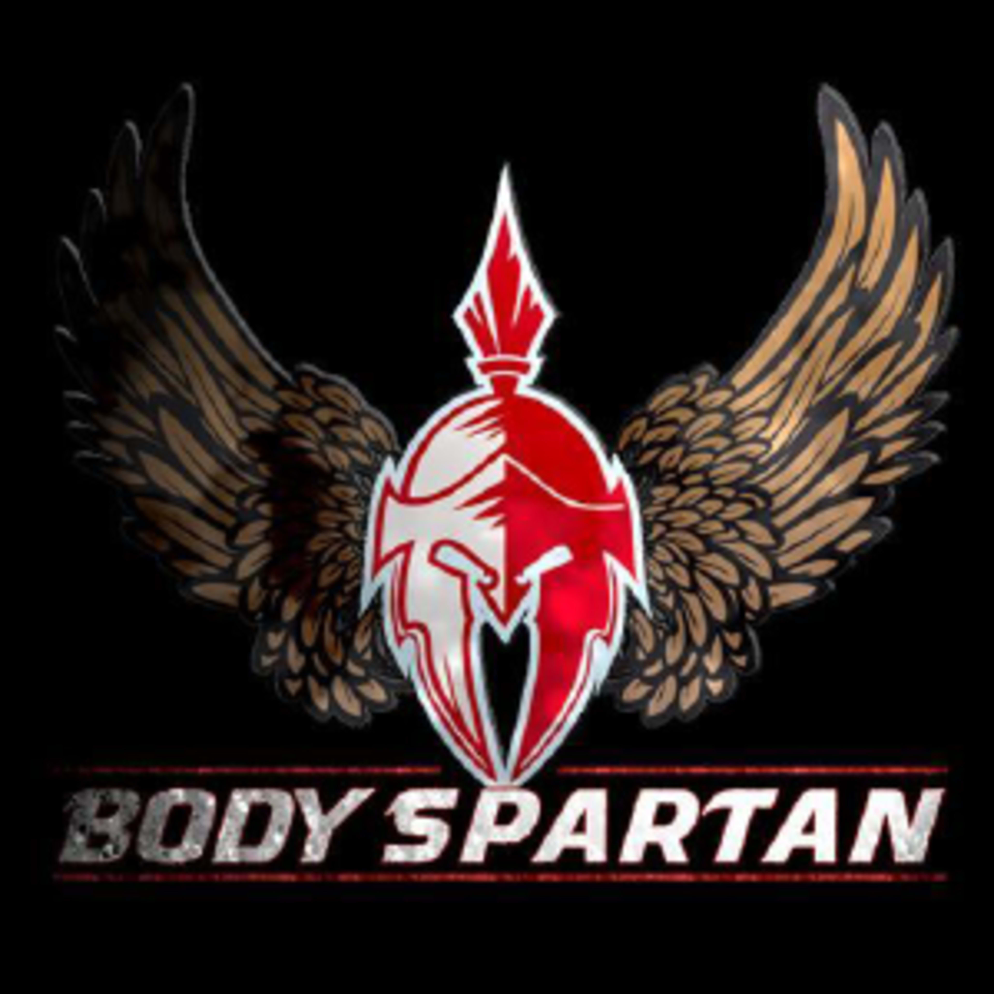 Body Spartan Code