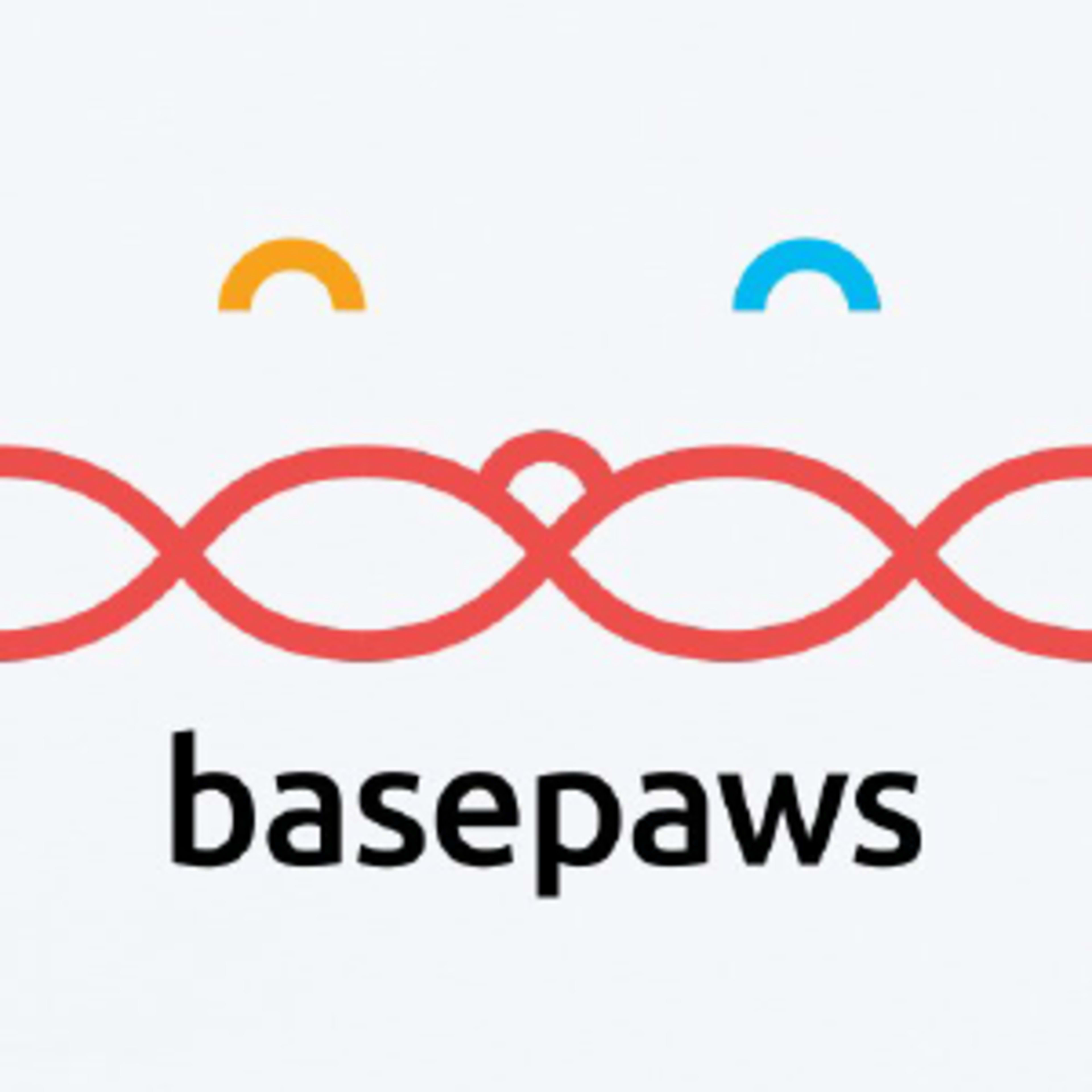 Basepaws Code