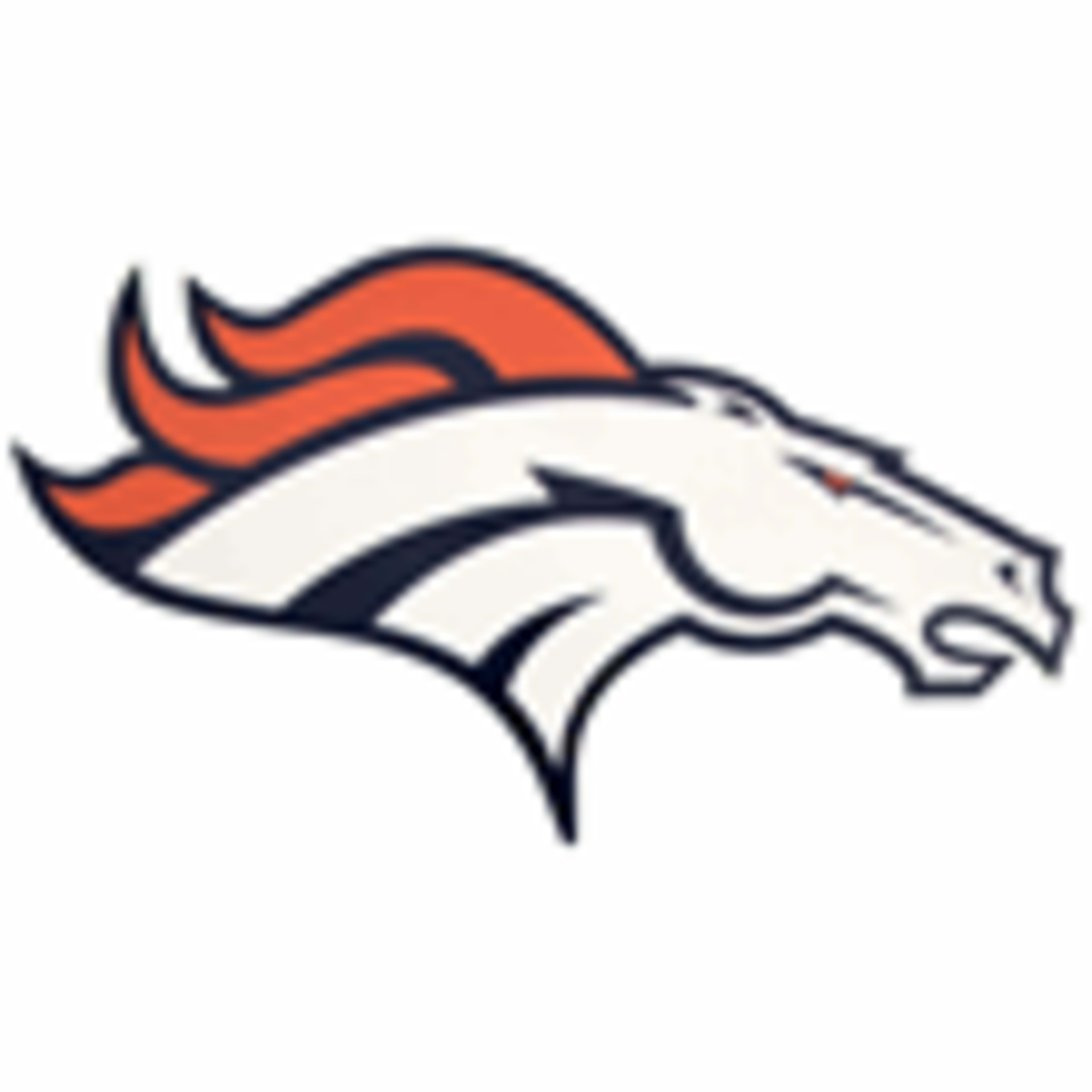 Denver Broncos Fan ShopCode