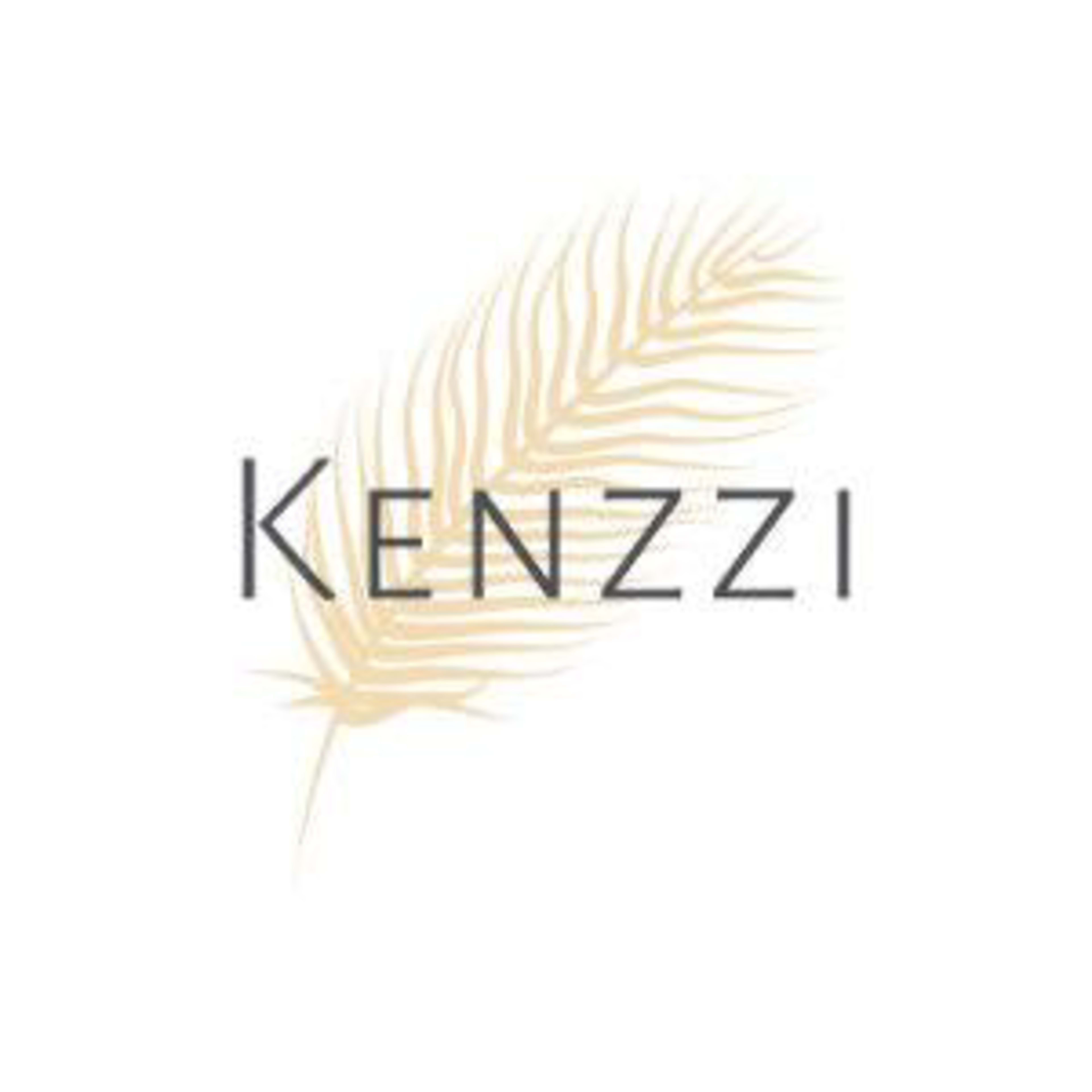 Kenzzi Code