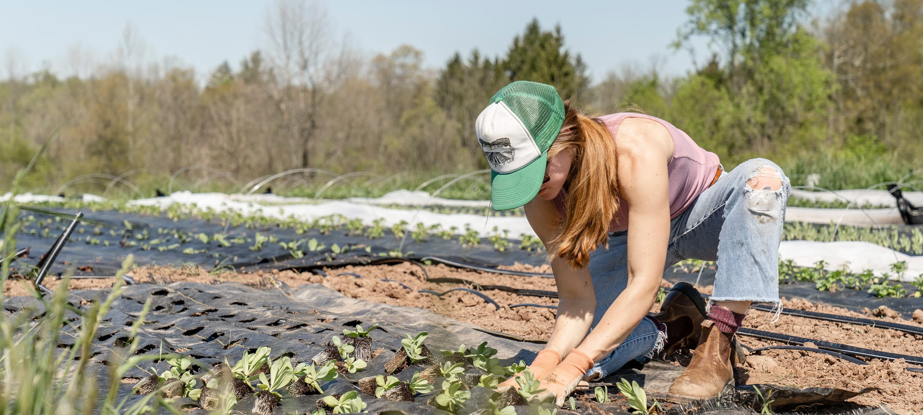 Farmandfleet COUPON CODES 50 for Mar 2024
