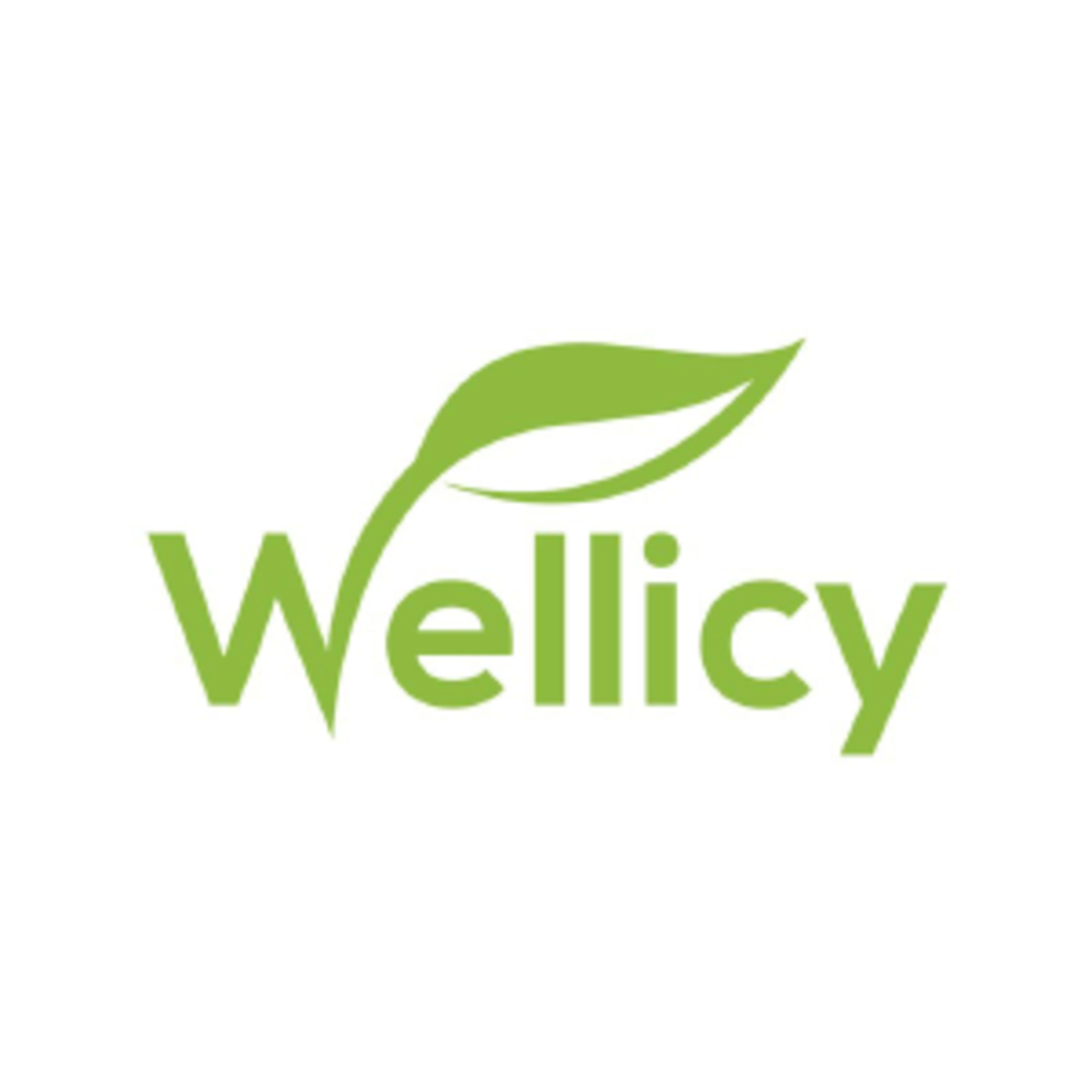 WellicyCode