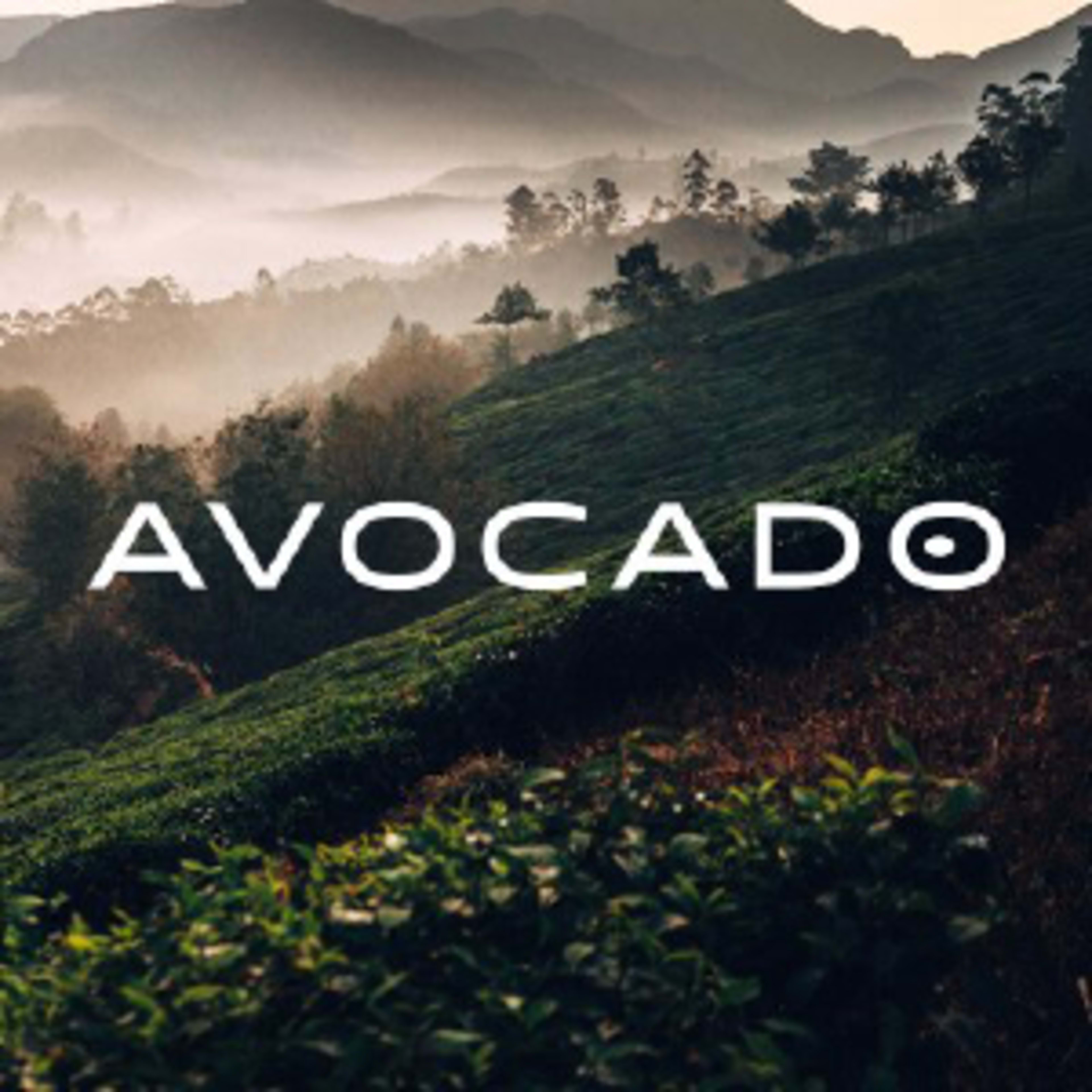 Avocado MattressCode