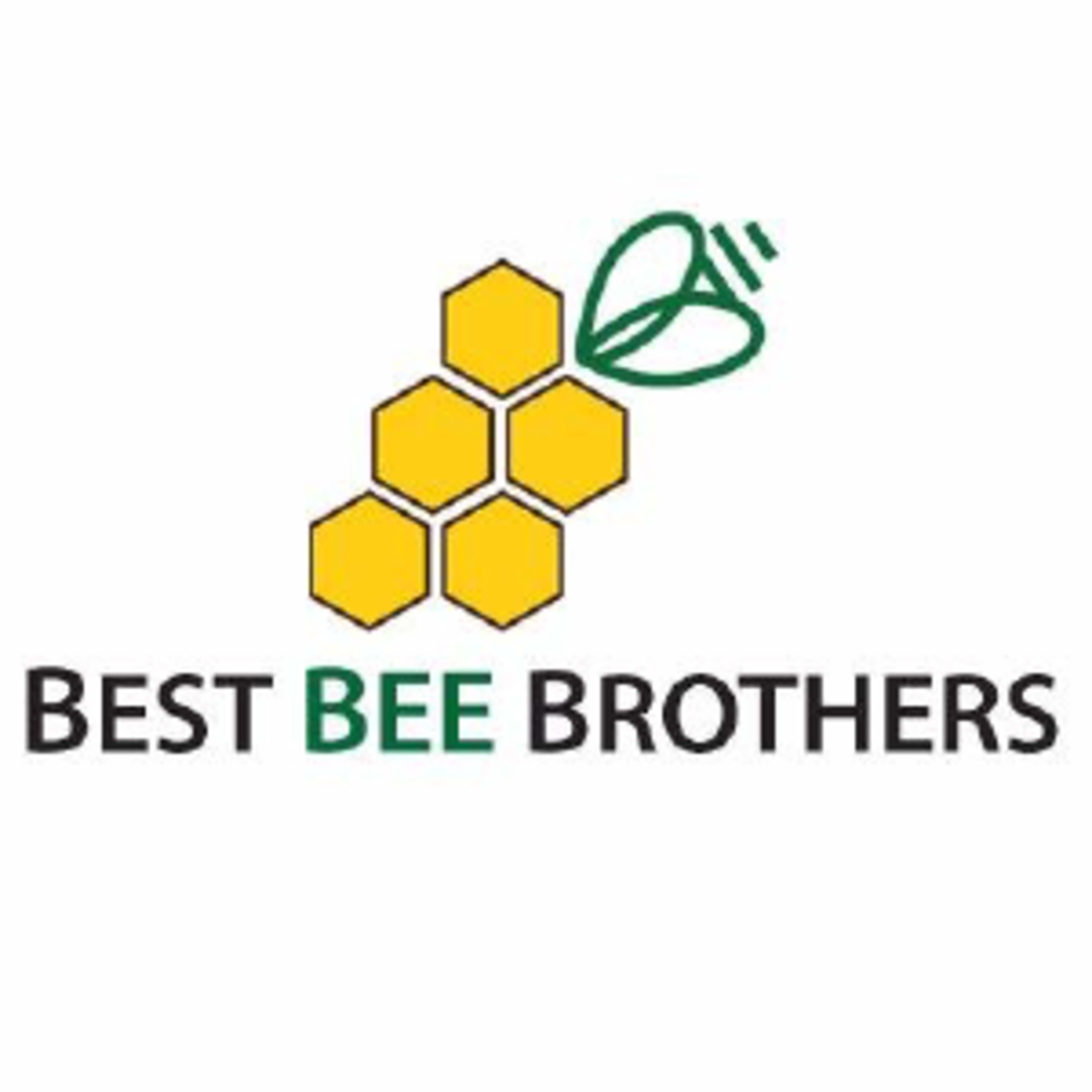 Best Bee BrothersCode