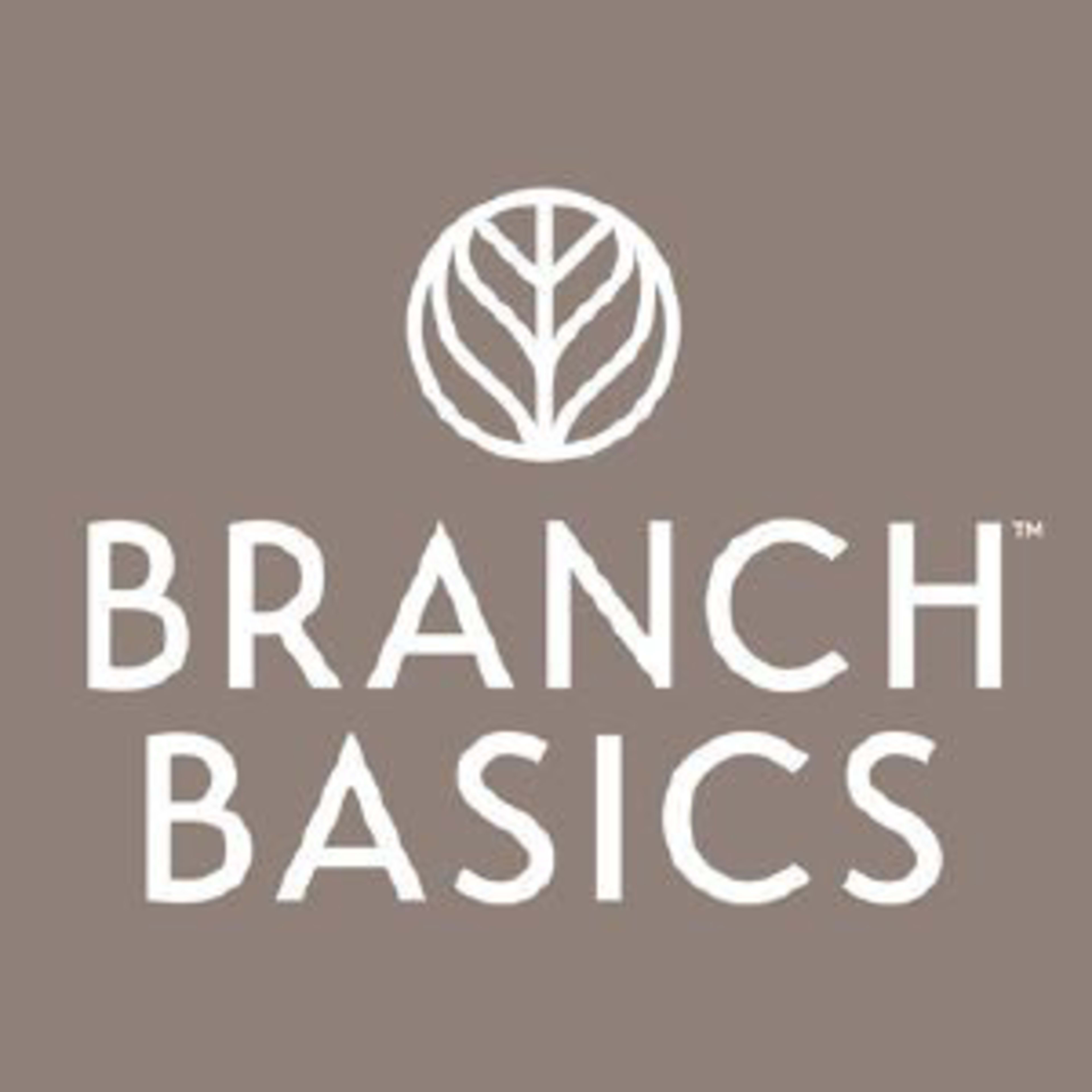 Branch Basics Code